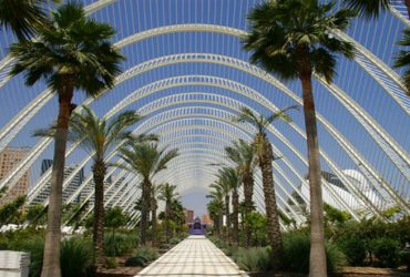 New to Valencia? 6 Cool Things You Must See & Do!